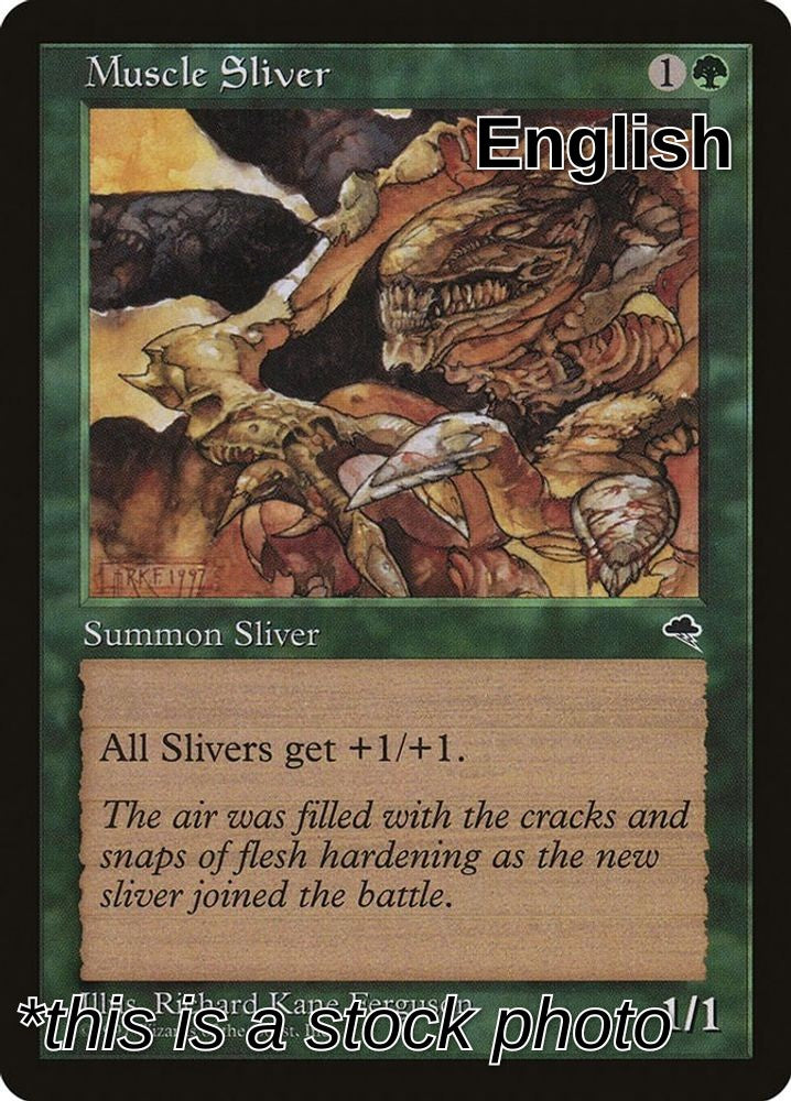 Muscle Sliver