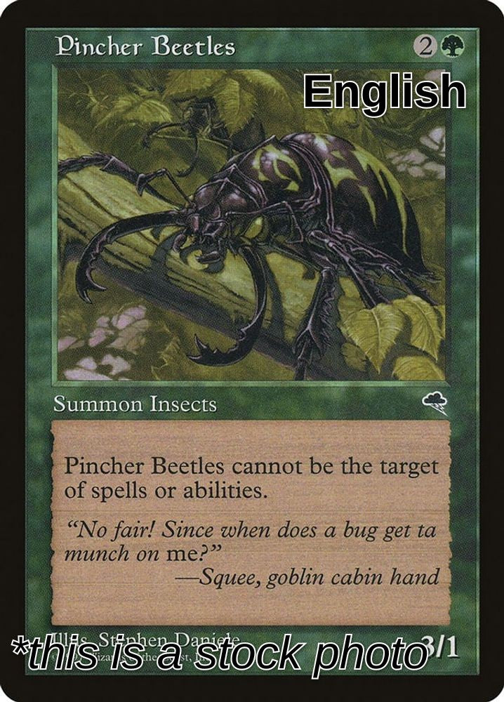 Pincher Beetles