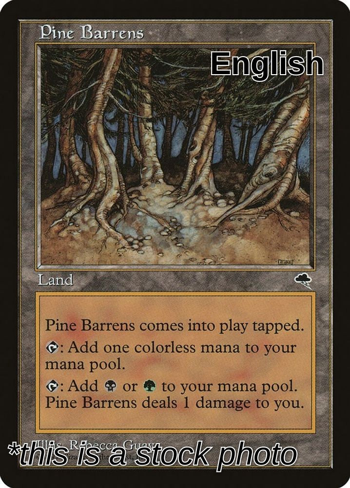 Pine Barrens