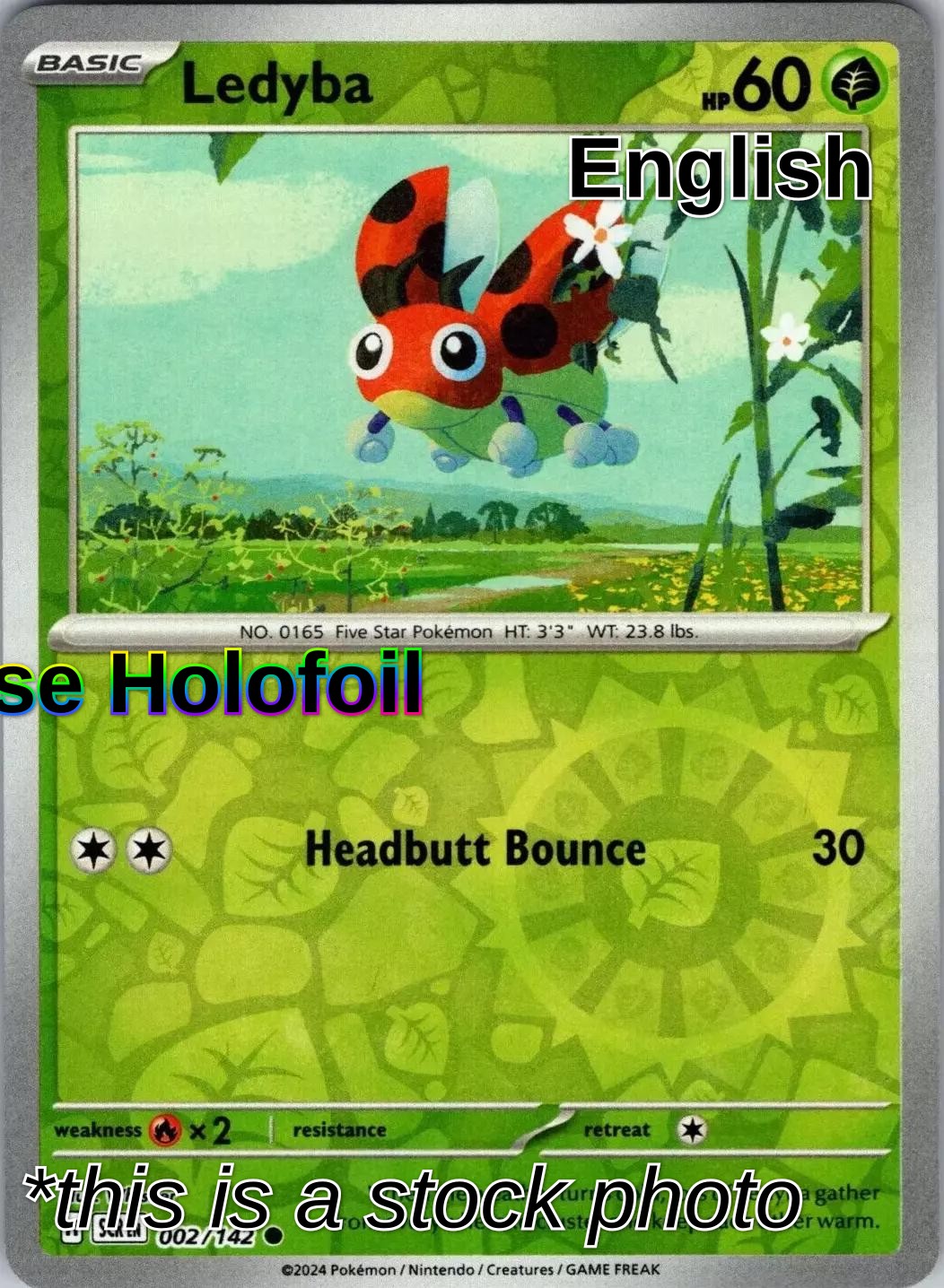 Ledyba