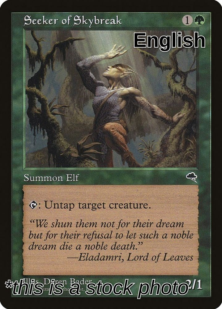 Seeker of Skybreak