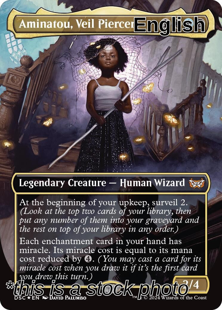 Aminatou, Veil Piercer (Borderless)