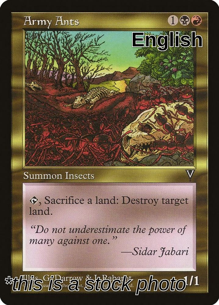 Army Ants