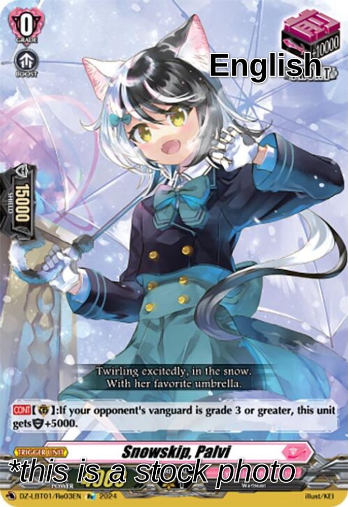 Snowskip, Palvi