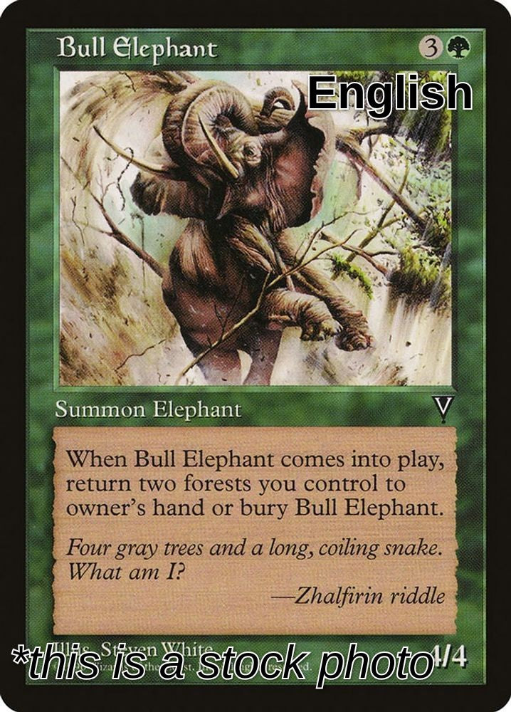 Bull Elephant