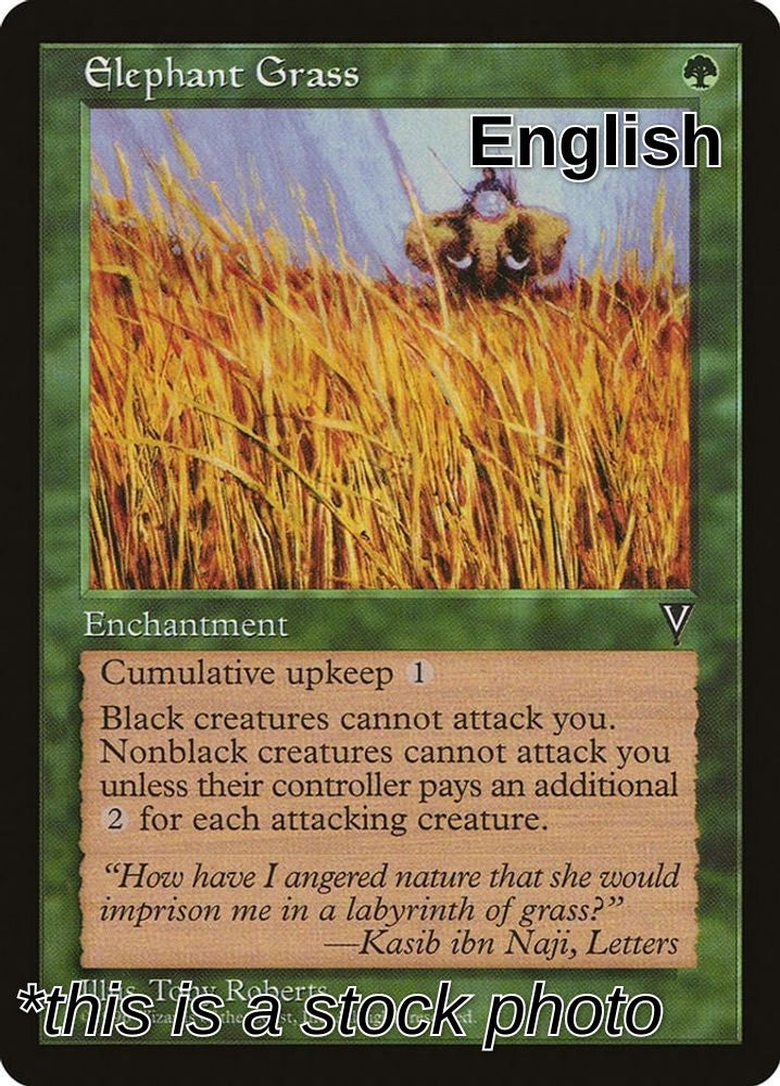 Elephant Grass