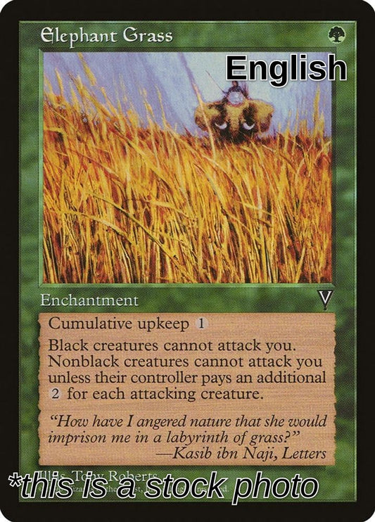 Elephant Grass