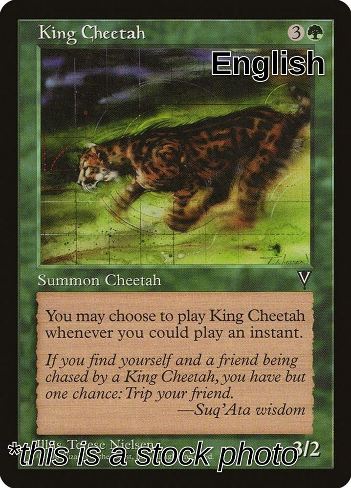 King Cheetah