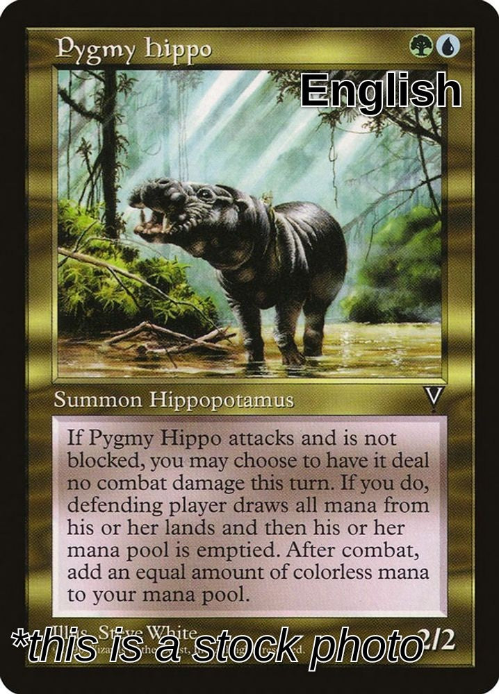 Pygmy Hippo