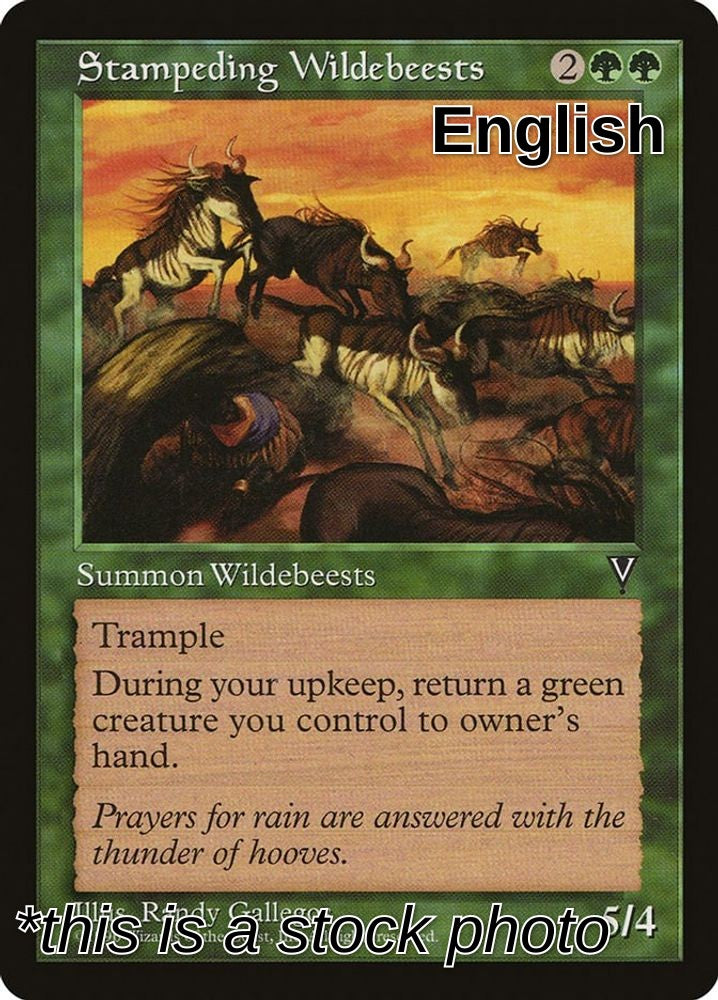 Stampeding Wildebeests
