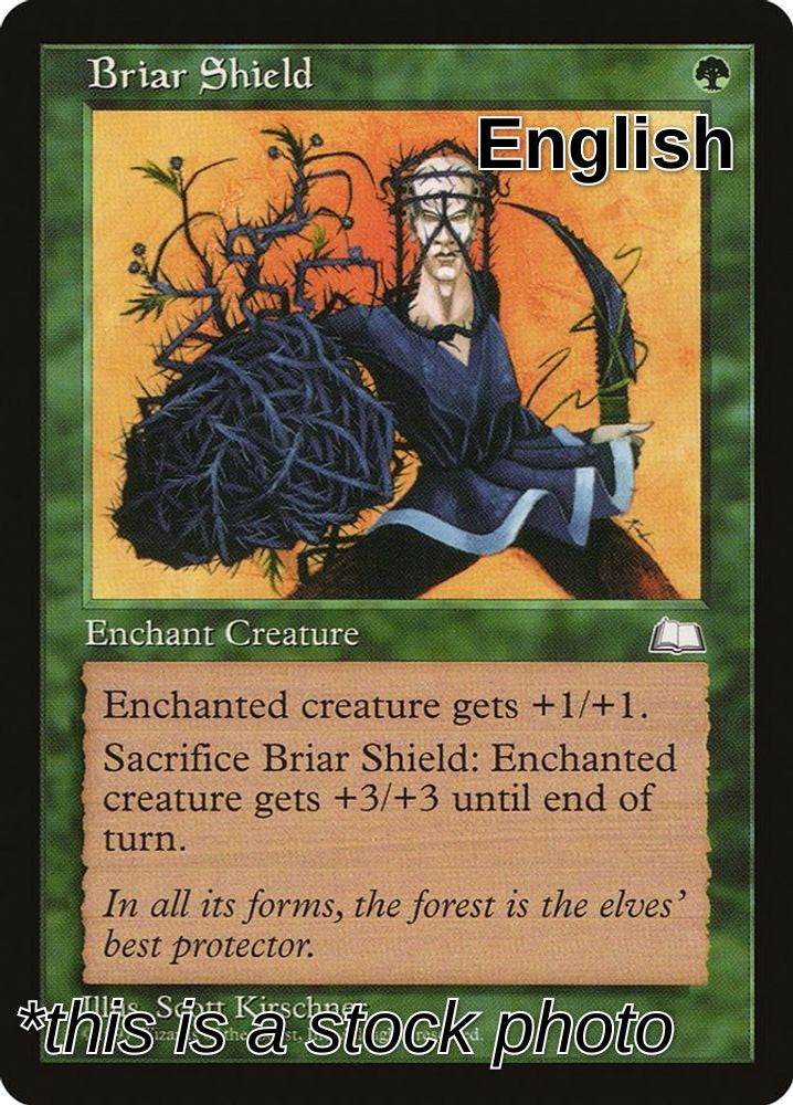Briar Shield