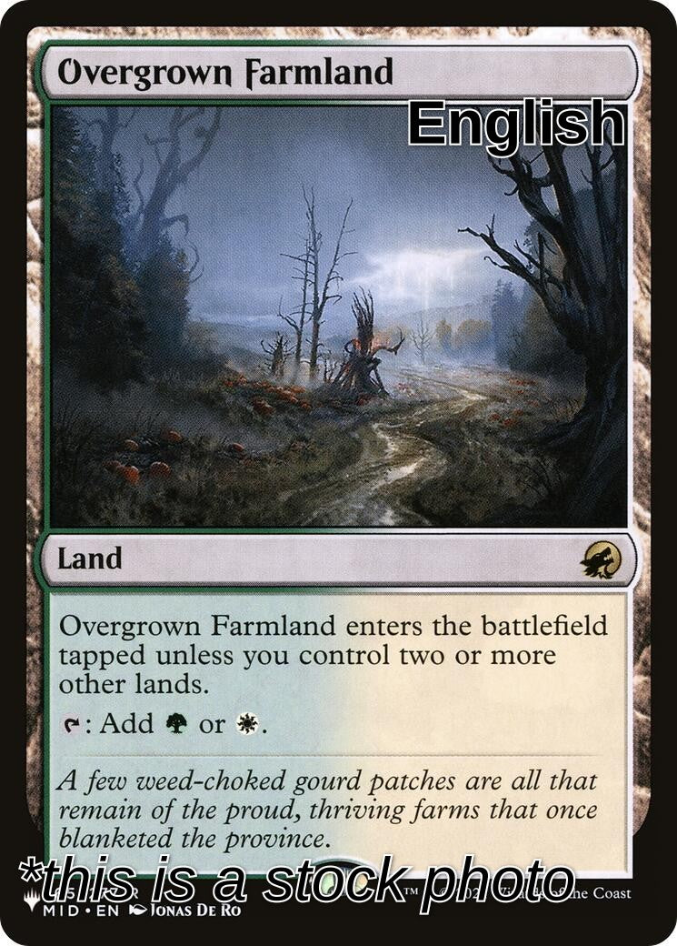 Overgrown Farmland