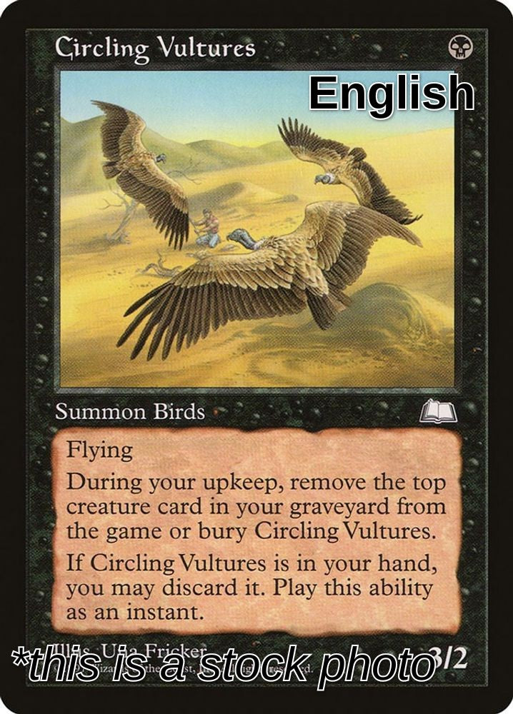 Circling Vultures
