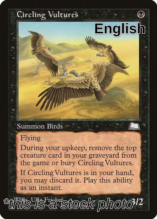 Circling Vultures