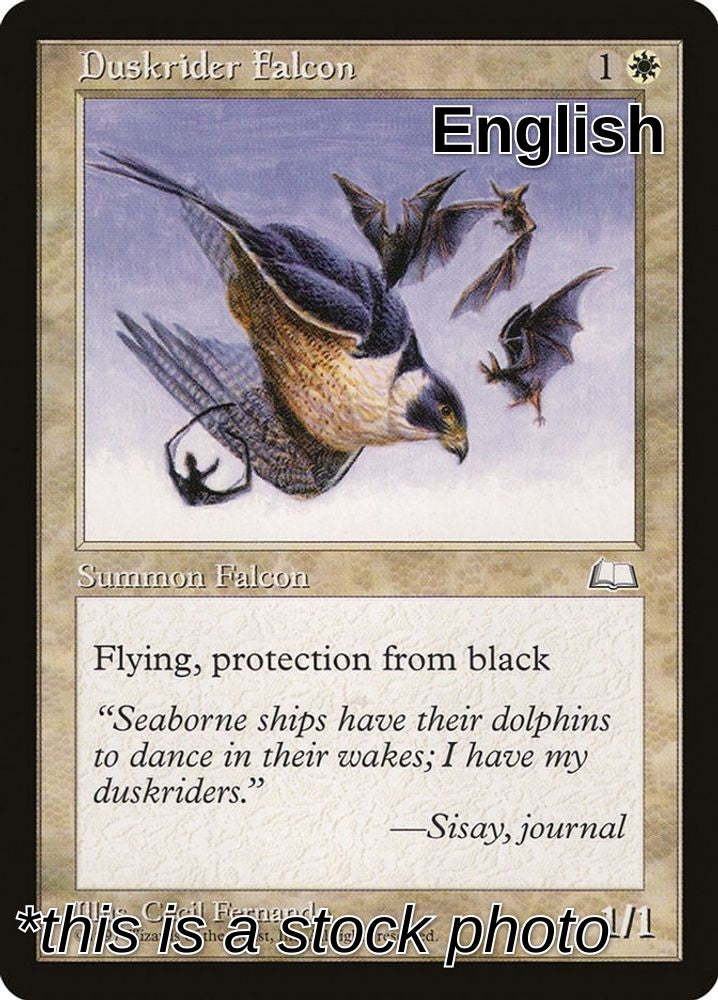 Duskrider Falcon