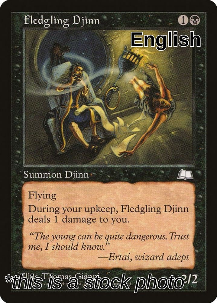 Fledgling Djinn