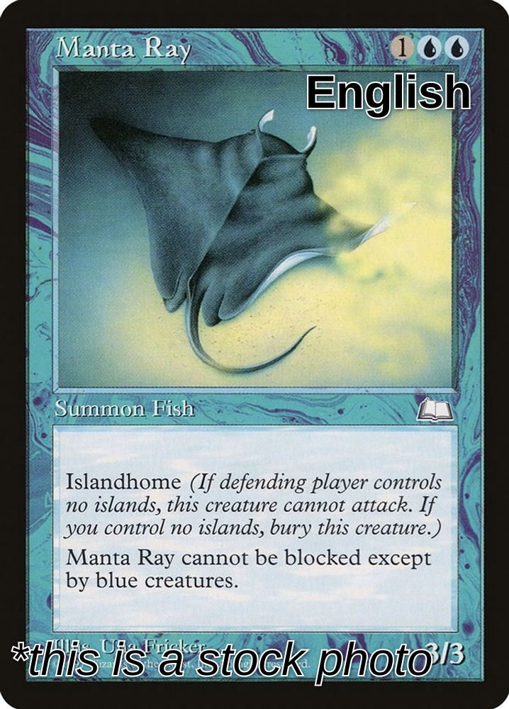 Manta Ray