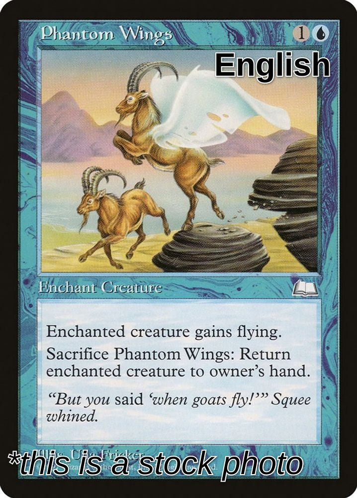 Phantom Wings