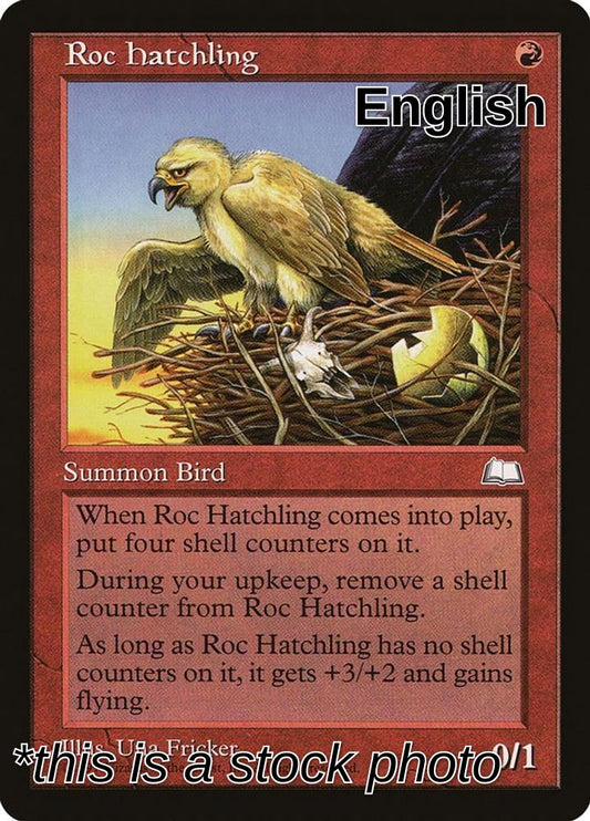 Roc Hatchling