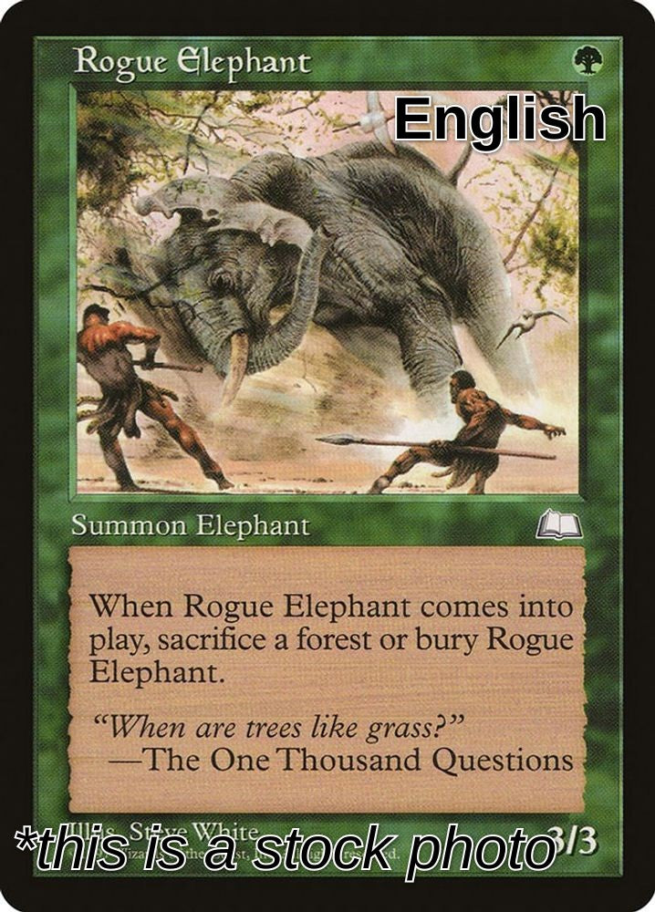 Rogue Elephant
