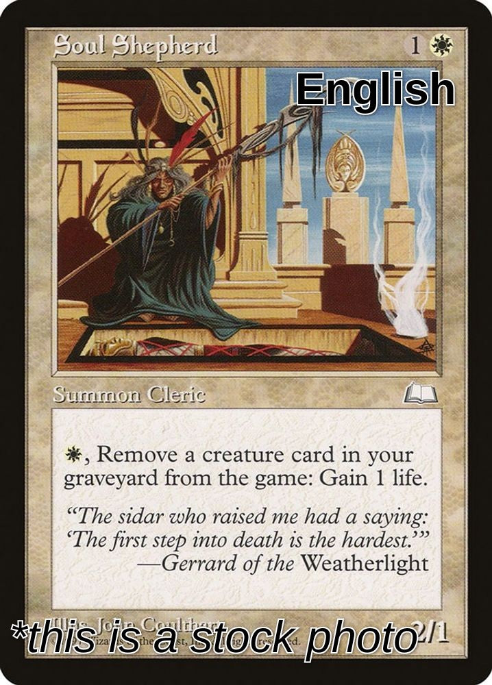 Soul Shepherd