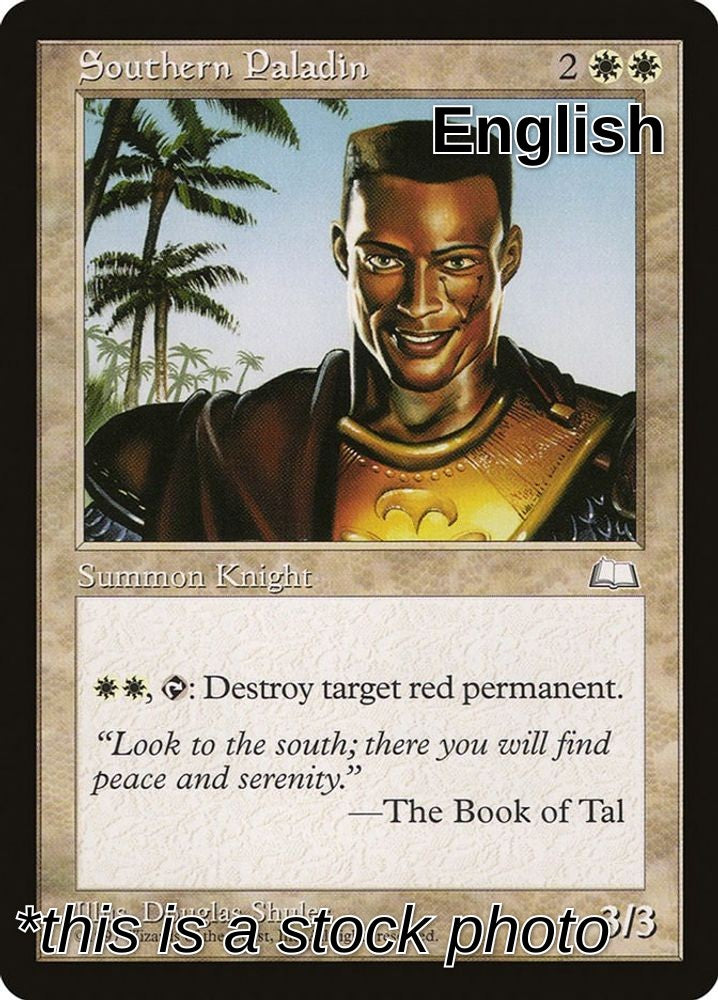 Southern Paladin