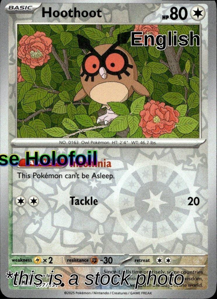 Hoothoot
