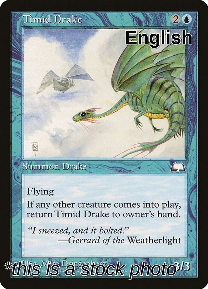 Timid Drake