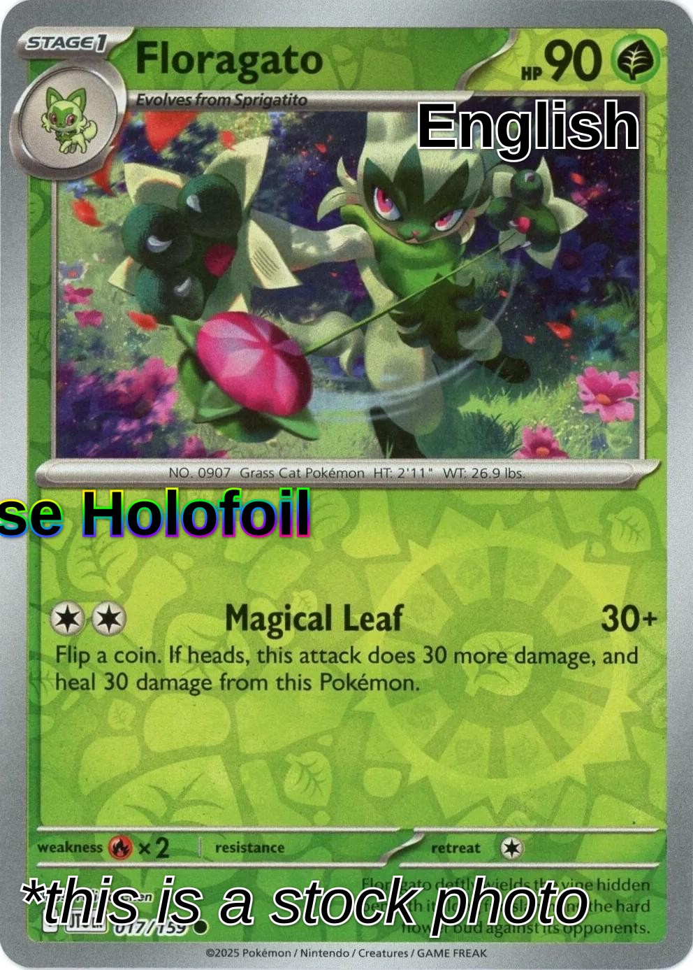 Floragato