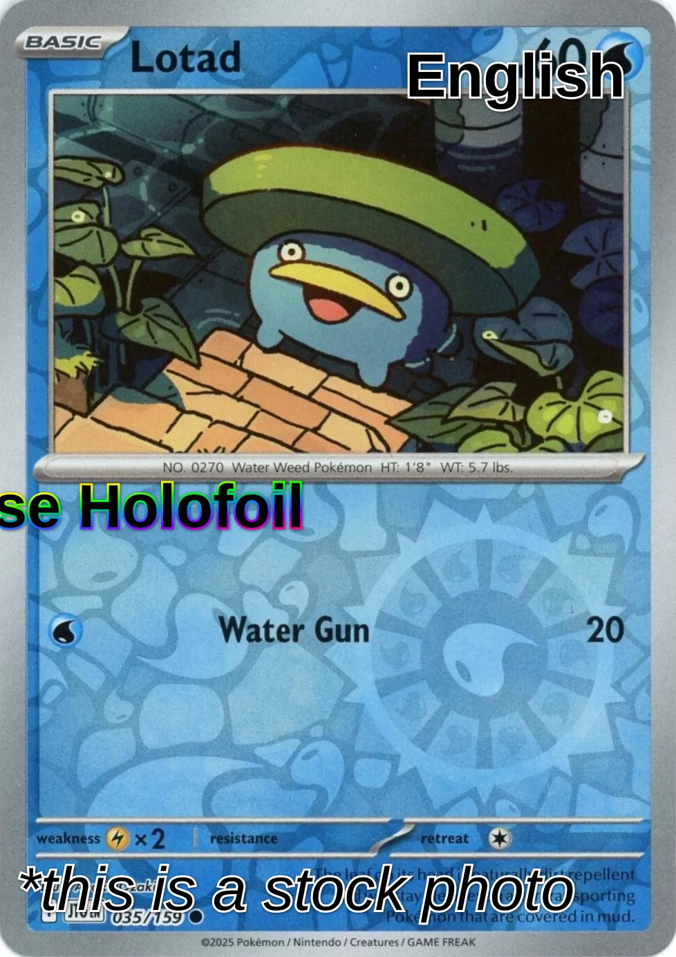 Lotad