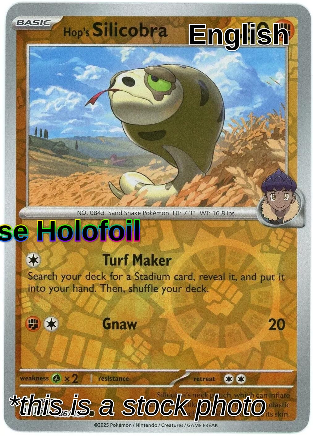 Hop's Silicobra