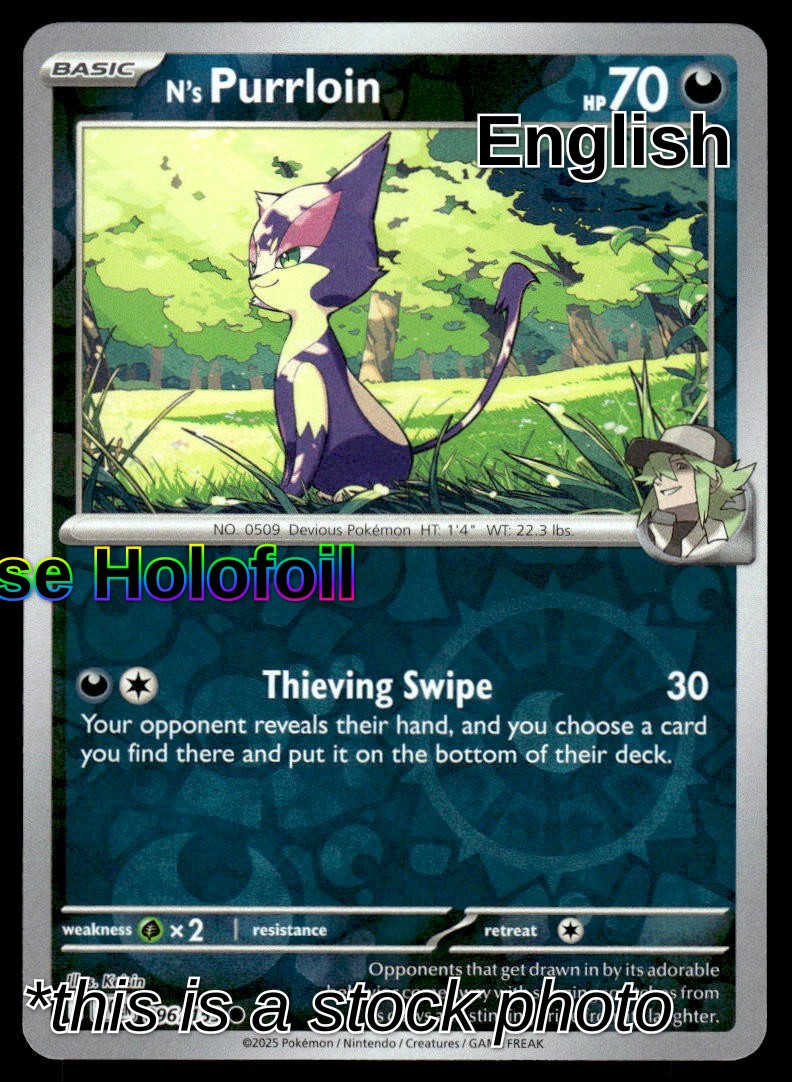 N's Purrloin