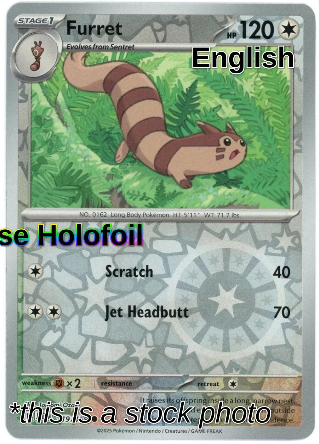 Furret - 119/159