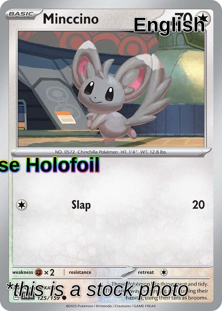 Minccino