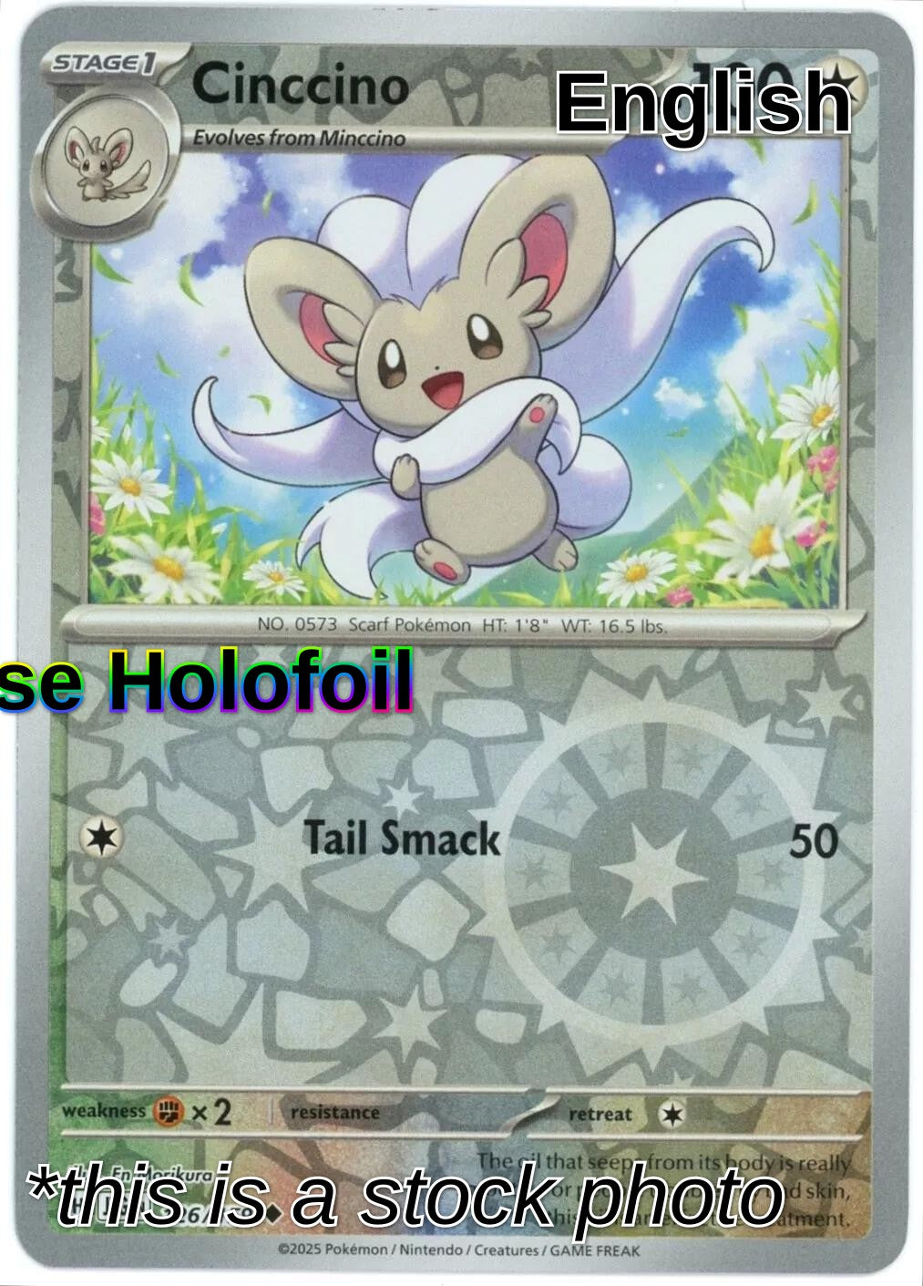 Cinccino