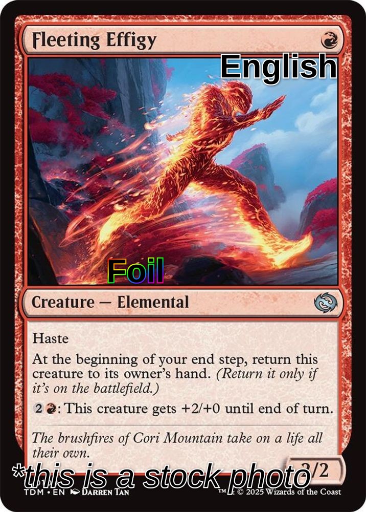Fleeting Effigy