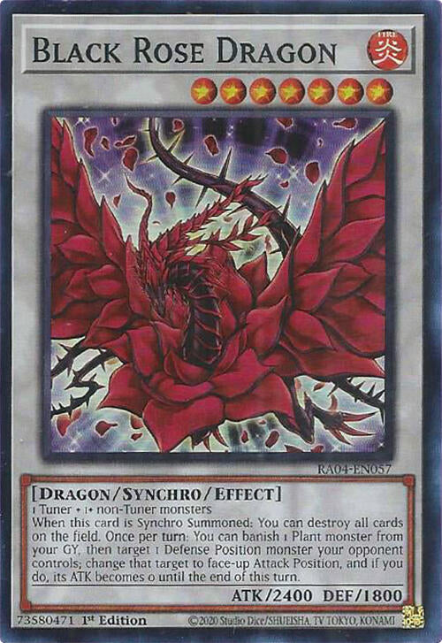 Black Rose Dragon