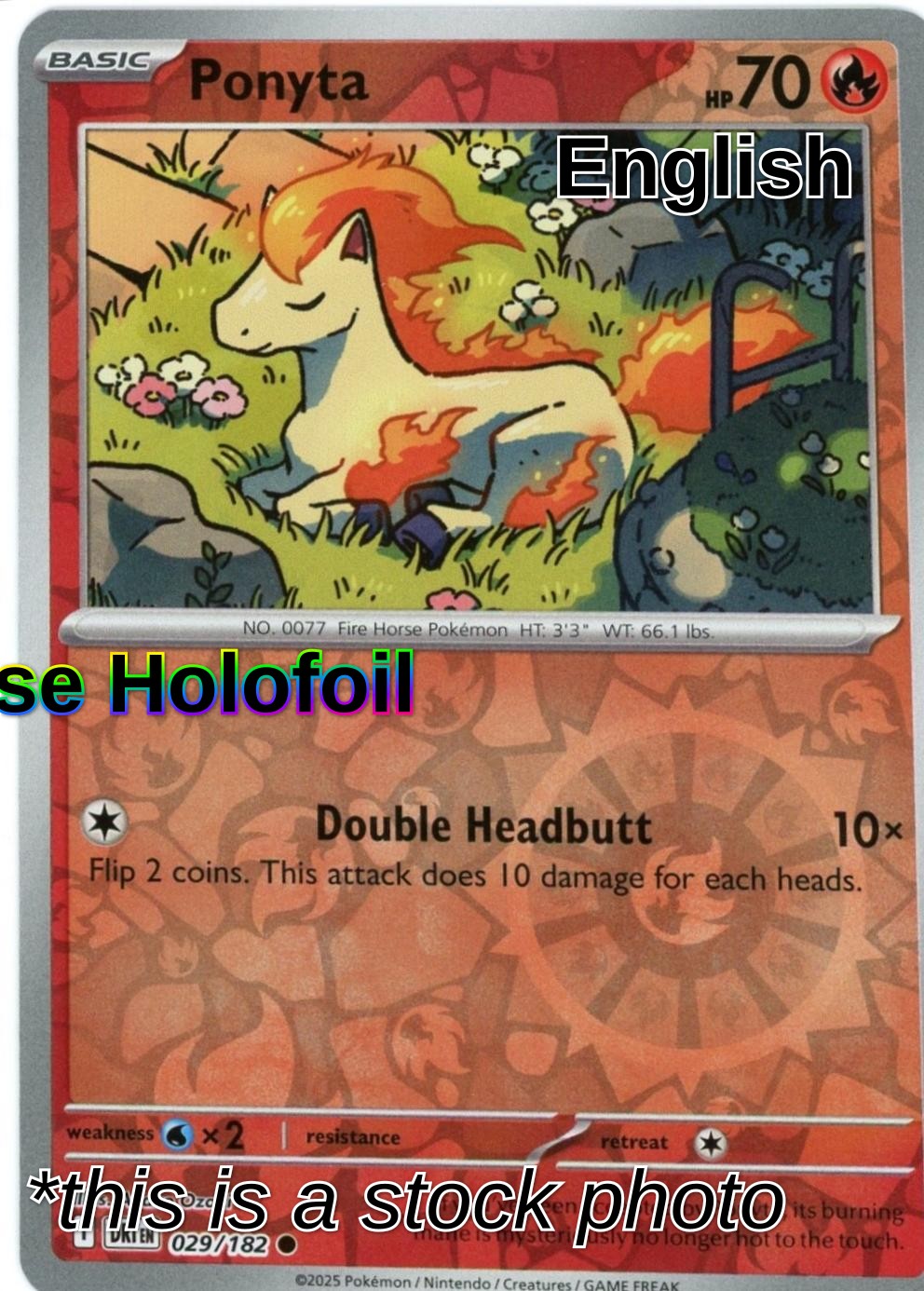 Ponyta