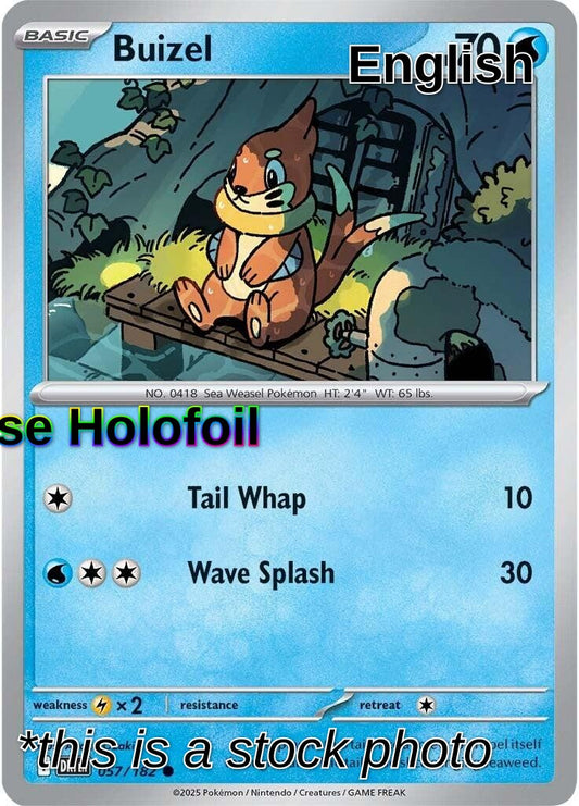 Buizel