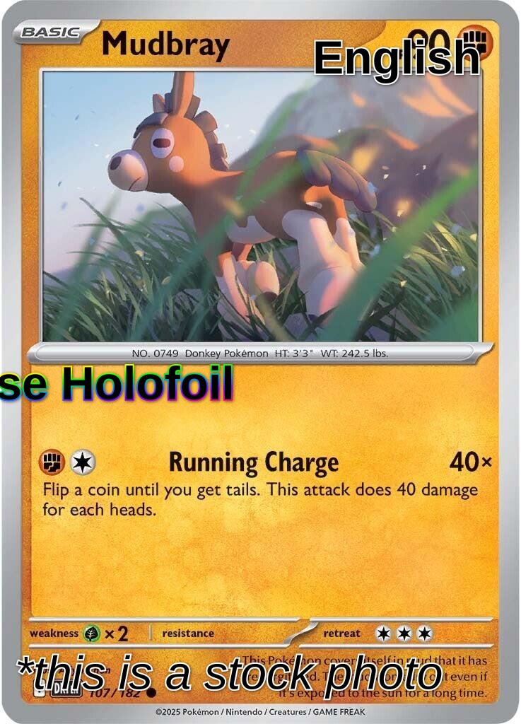 Mudbray