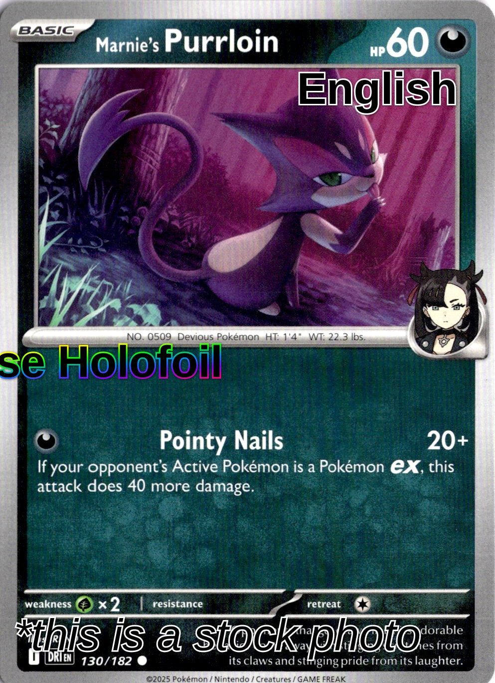 Marnie's Purrloin