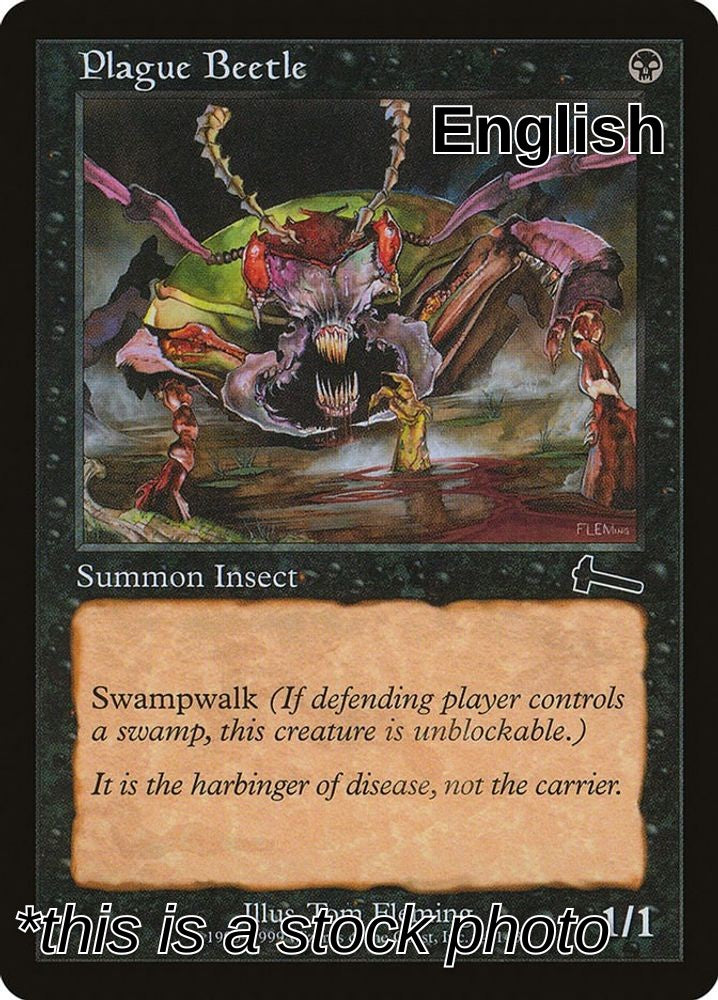Plague Beetle