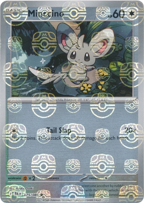 Minccino (Master Ball Pattern)