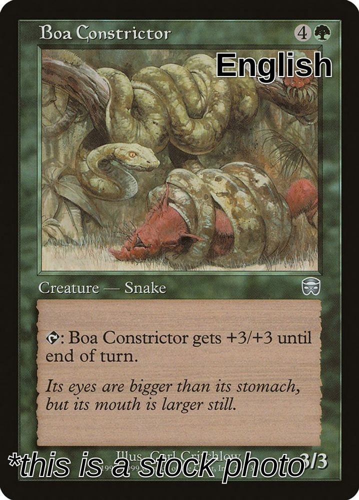 Boa Constrictor