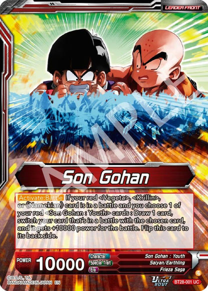 Son Gohan // Son Gohan, Protecting the Weak (Back)