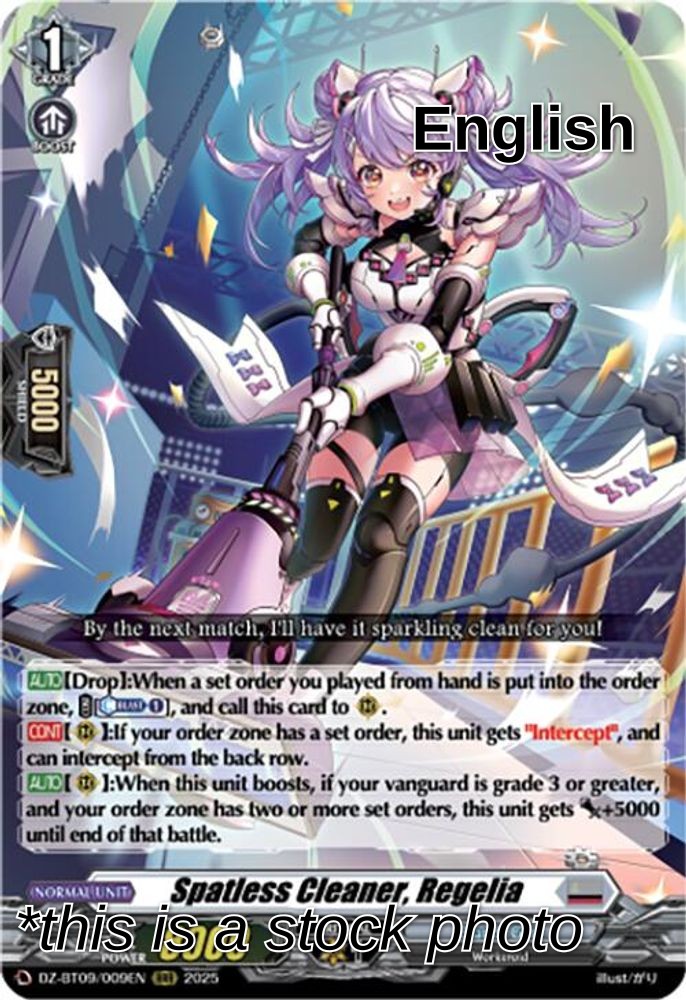 Spatless Cleaner, Regelia