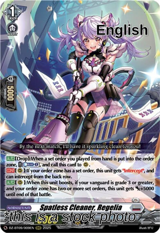 Spatless Cleaner, Regelia