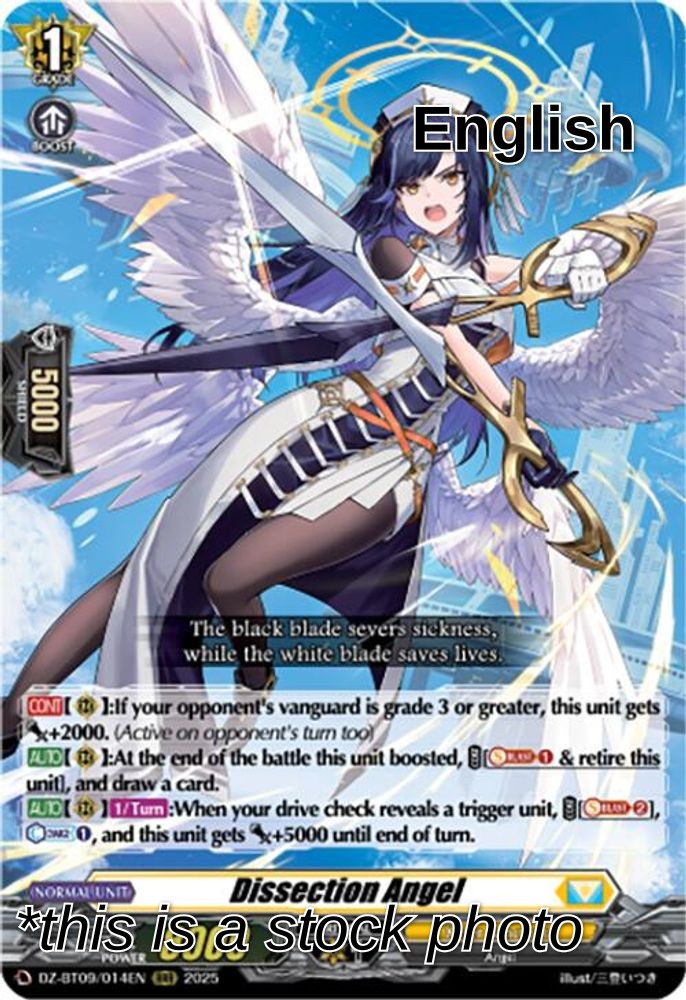 Dissection Angel