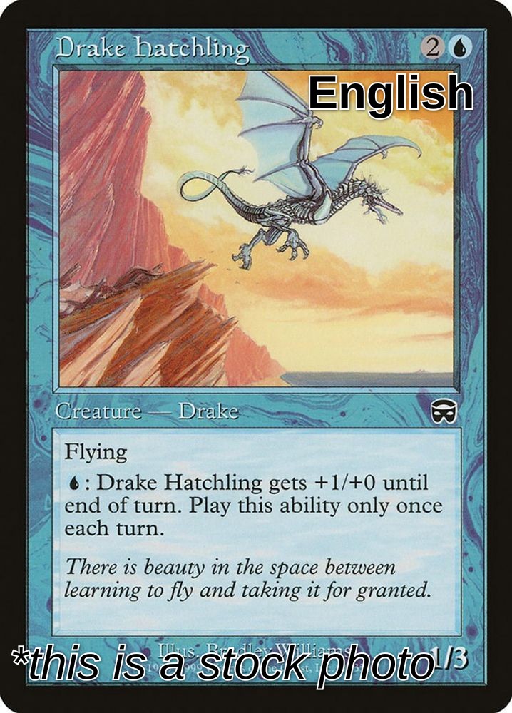 Drake Hatchling