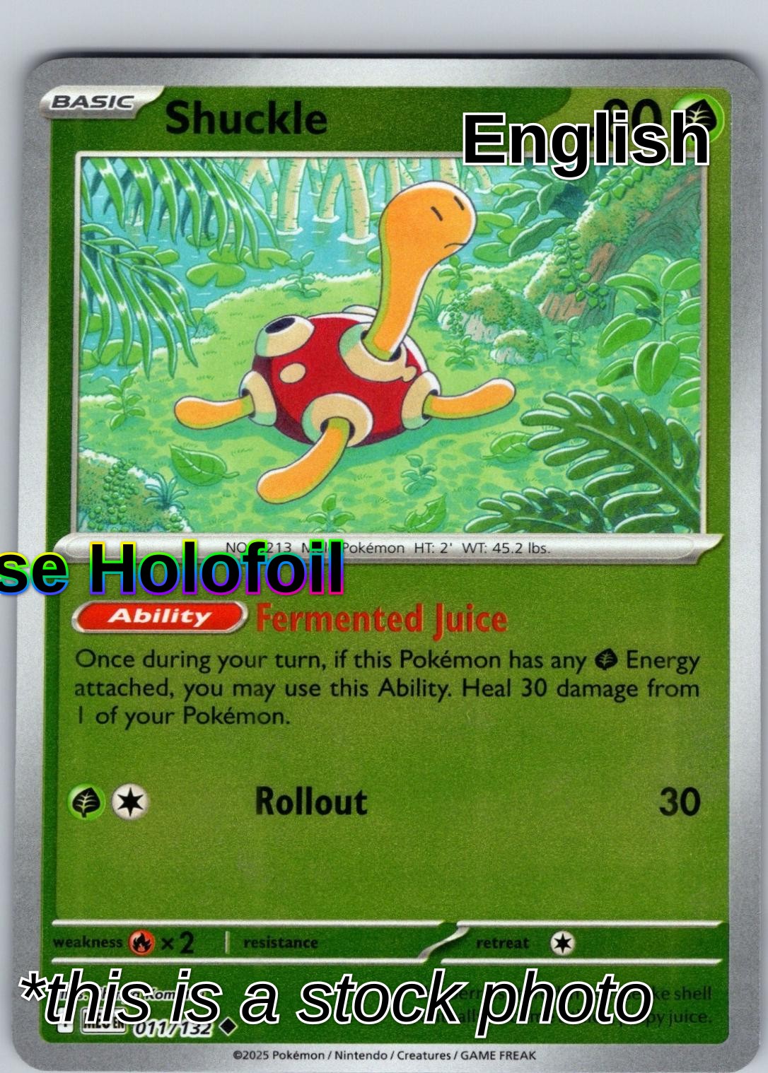 Shuckle - 011/132